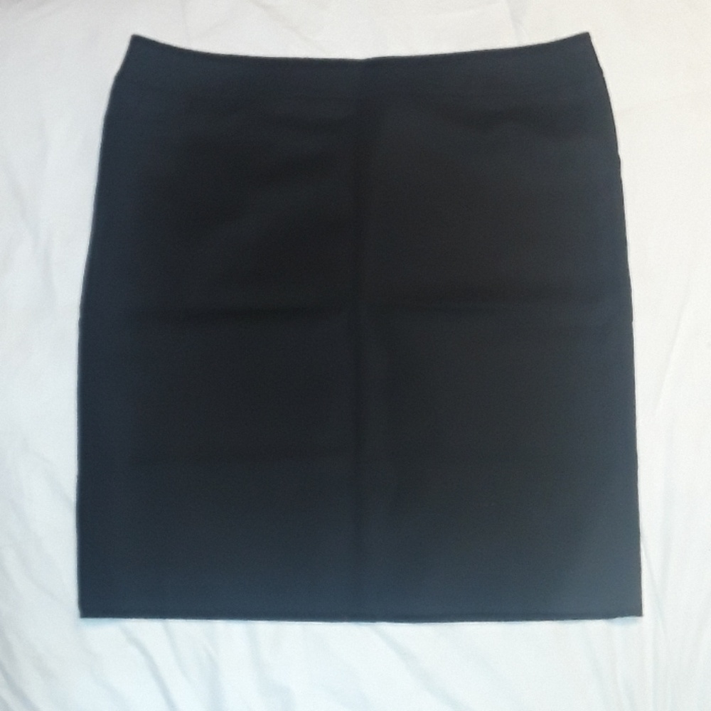 Merona Skirt